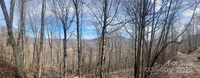 Tyler Ln, Bakersville, NC 28705