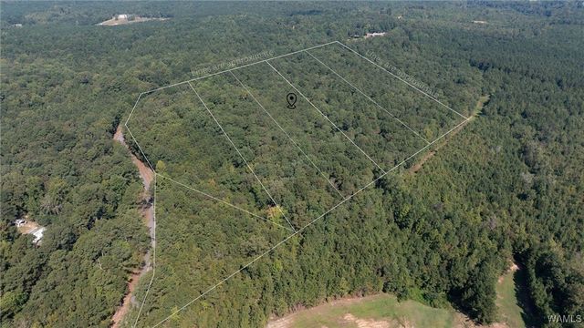 3 Dunn Creek Rd, Gordo, AL 35466