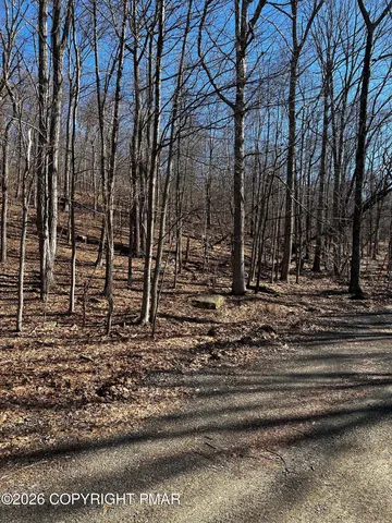 Berry Ln, Cresco, PA 18326