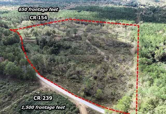 County Road 239, Tillatoba, MS 38961