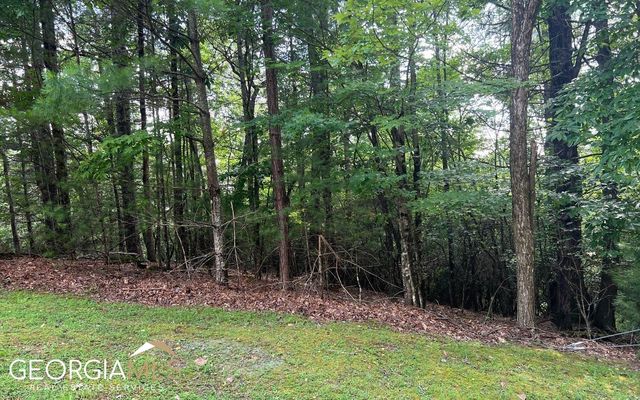 40 Double Knobs Dr, Hayesville, NC 28904