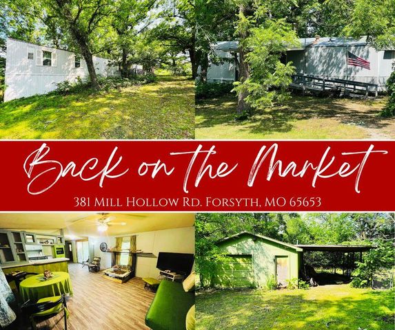 381 Mill Hollow Road, Forsyth, MO 65653
