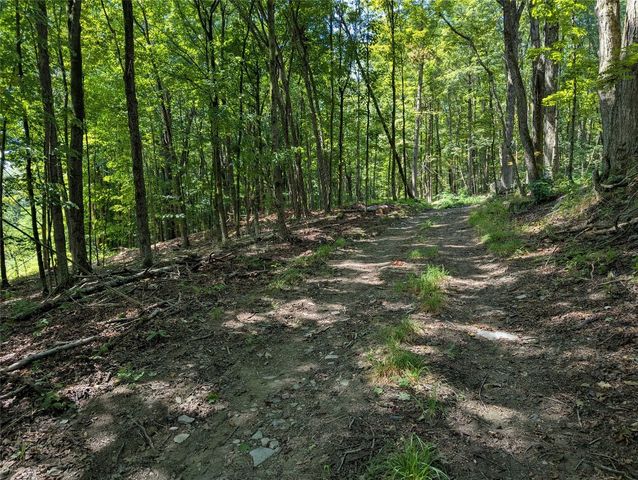 130 Brown Rd, Kirkwood, NY 13795