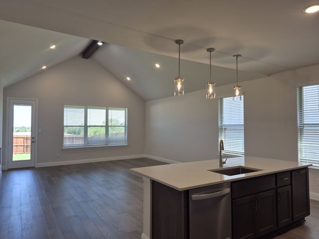 1040 Birdie St, Gunter, TX 75058