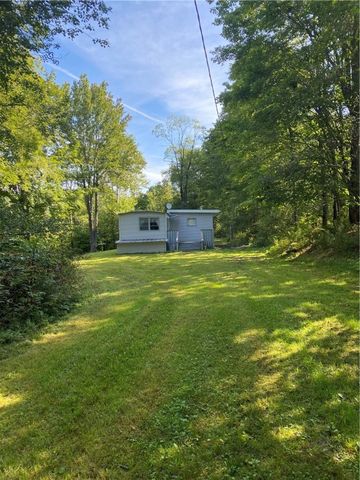 156 S  Worcester Hill Rd, Jefferson, NY 12093