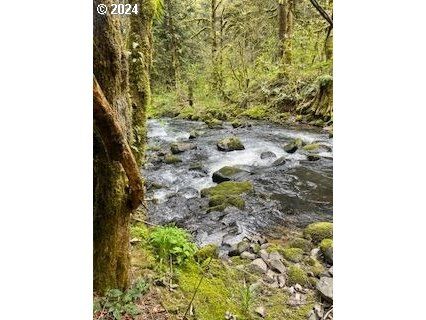 Twin Creek Ln, Scappoose, OR 97056