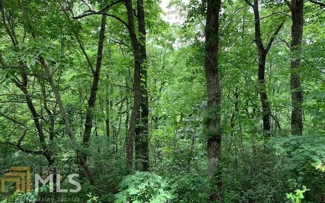 Lot-50A Eagles View Rd, Hayesville, NC 28904