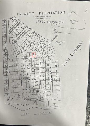 Lot 5 Thornton St, Trinity, TX 75862