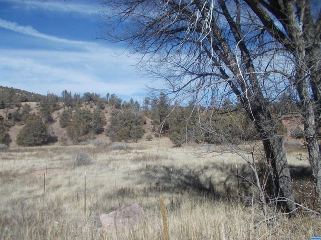 Lot 2A State Highway 15, Mimbres, NM 88049
