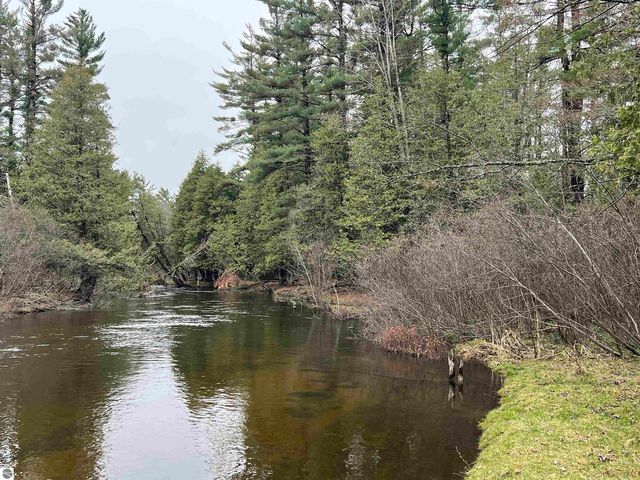 14628 Club Cir SE, Grayling, MI 49738
