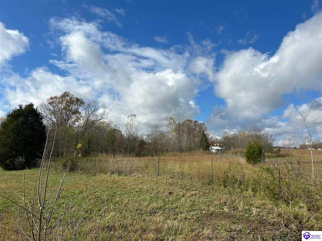 100 May Irby Ln, Cloverport, KY 40111