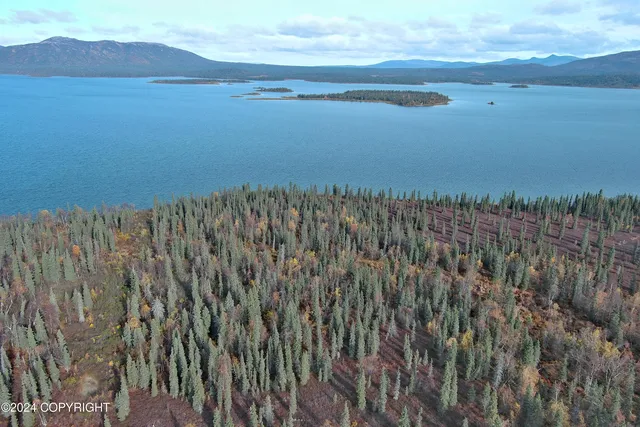 L7b4 Bear Tracks Rd, Aleknagik, AK 99555