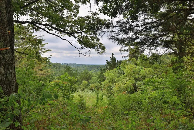 937 Neave Milford Rd, Falmouth, KY 41040