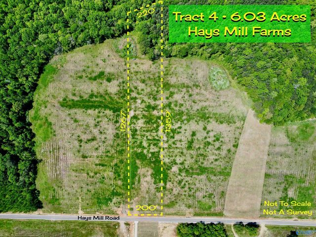 Tract 4 Hays Mill Rd, Elkmont, AL 35620