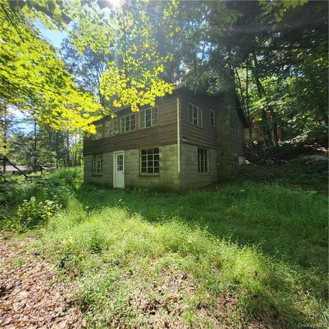 36 E Reindeer Trail, Mongaup Valley, NY 12762