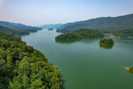 14 Diamond Point Dr, Butler, TN 37640