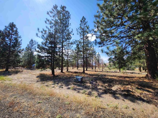 Lot 131 Fisher Rd, Weed, CA 96094