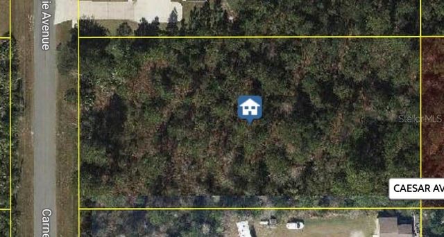 Carnegie Ave #3, Orlando, FL 32833