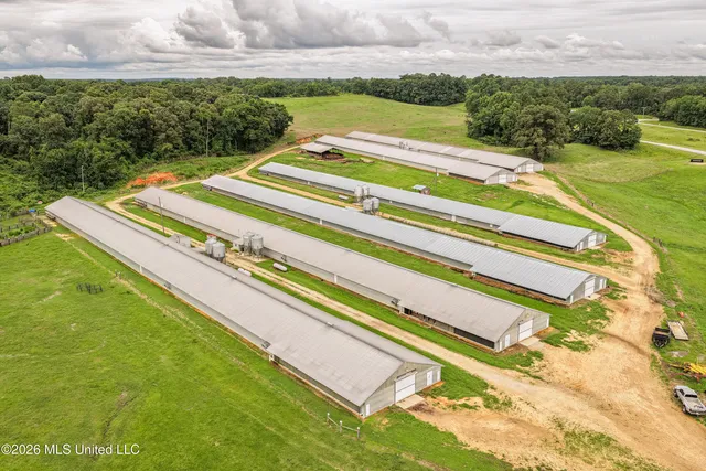 112 Old Highway 13, Lena, MS 39094