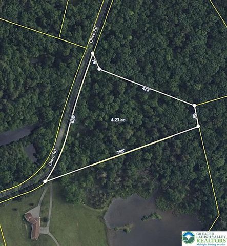 Olive Rd, Danielsville, PA 18038