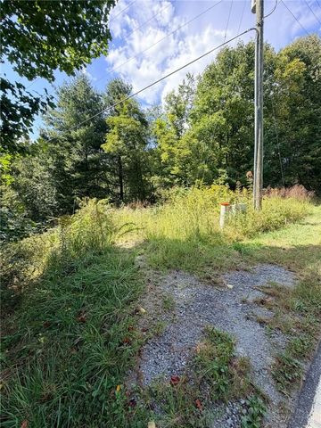 101 Pleasant Home, Sparta, NC 28675