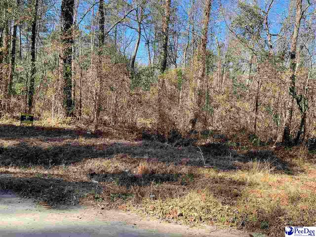 LOT On Spring Hill Rd, Timmonsville, SC 29161
