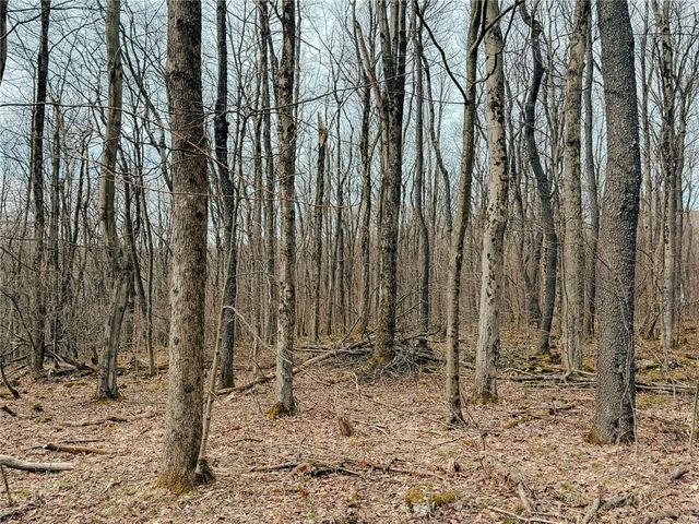 LOT Fern Mountain Rd #F, Somerset, PA 15501