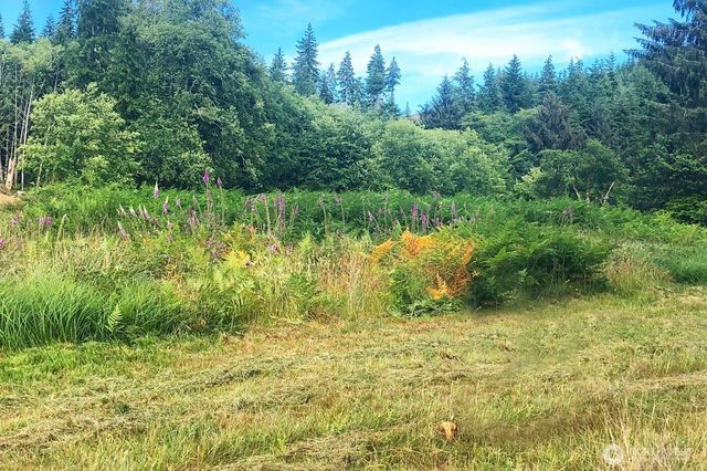 0 South Valley Lane Lot 5, Naselle, WA 98638