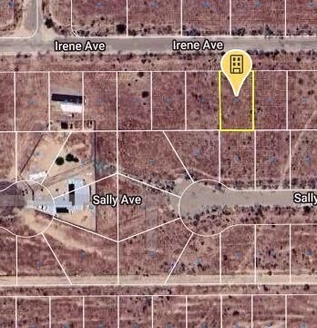 Apn 218 164 10 Irene Ave, California City, CA 93505