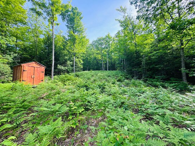 Lot #4 Mooseley Ridge Road, Phillips, ME 04966