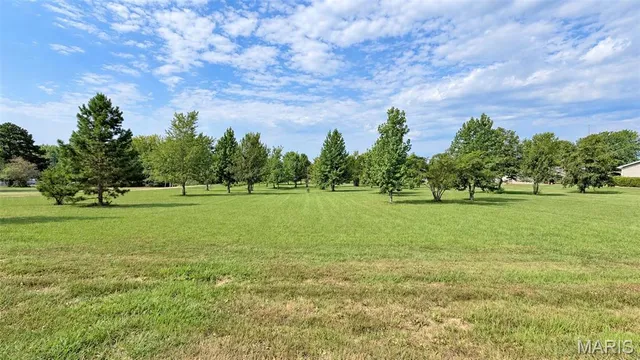 33 & 34 Madison St #334, Fredericktown, MO 63645