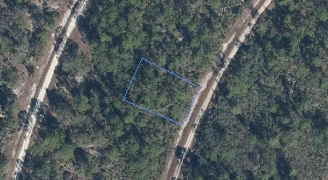 818 HOLLYWOOD STREET LOT 20, Lake Placid, FL 33852