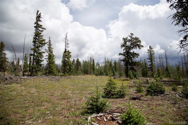 000 Forest Rd 504, Creede, CO 81130