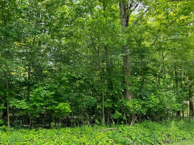 Lakeview Rd, Jamestown, PA 16134