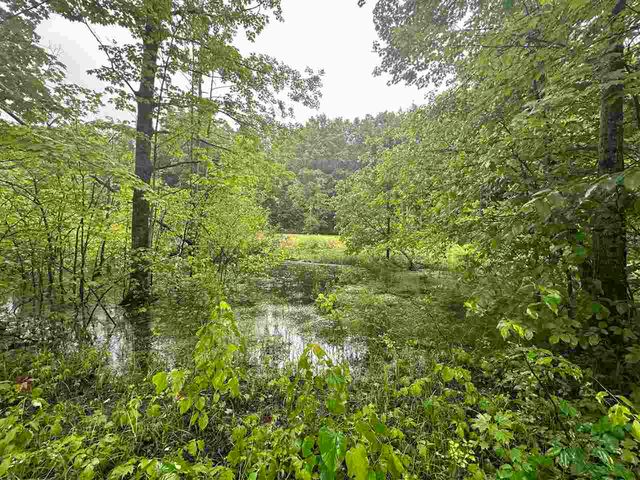 Parcel 1 Tobias Rd, Elmira, MI 49730