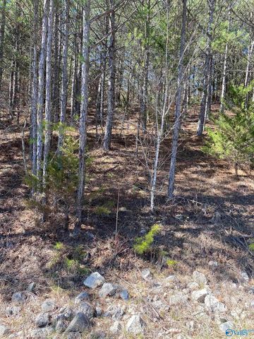 Lot 3 Alyson Ave NW, Fort Payne, AL 35968