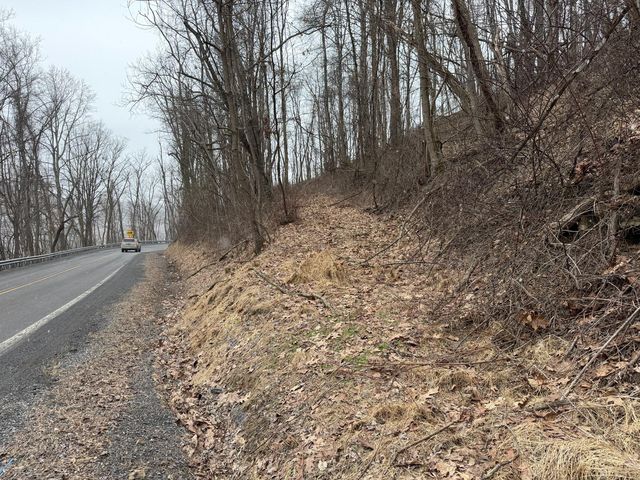 N  Route 219, Renick, WV 24966