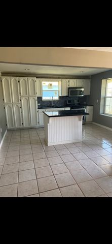 620 Cadena, El Cenizo, TX 78046