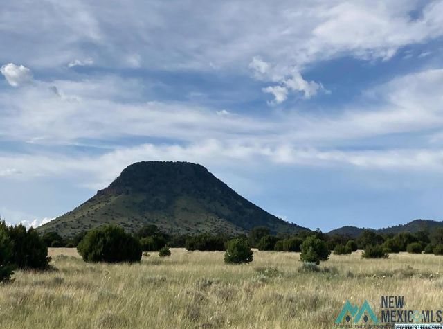 19 Coyote Trl, Datil, NM 87821