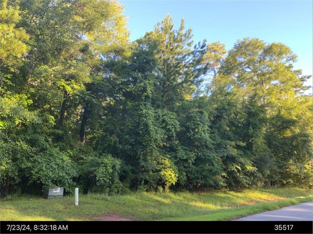 2515 Old Ivy Ln, Albany, GA 31721