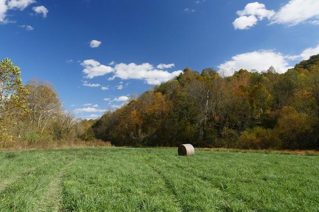 Fairview Rd, Blackwater, VA 24221