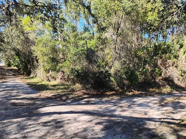 Marie Ave #19, Deland, FL 32720