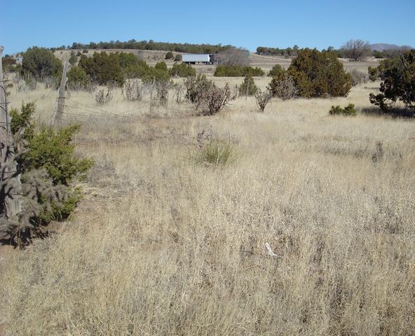 1865 Route 66, Edgewood, NM 87015