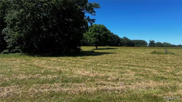 S  Mill Creek Rd, New Florence, MO 63363