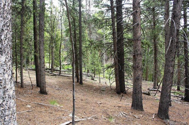 Lot 209 Upper Forest Road  Lot 209, Idaho Springs, CO 80452