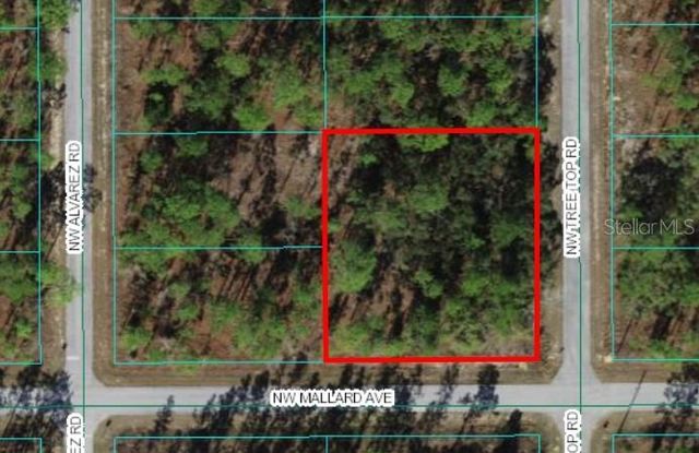 SW Tree Top Rd #28-29, Dunnellon, FL 34431