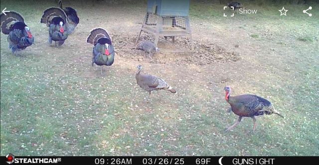 County Road 154, Breckenridge, TX 76424