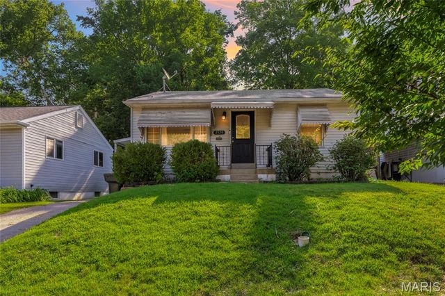 2520 Tamm Ave, Saint Louis, MO 63139