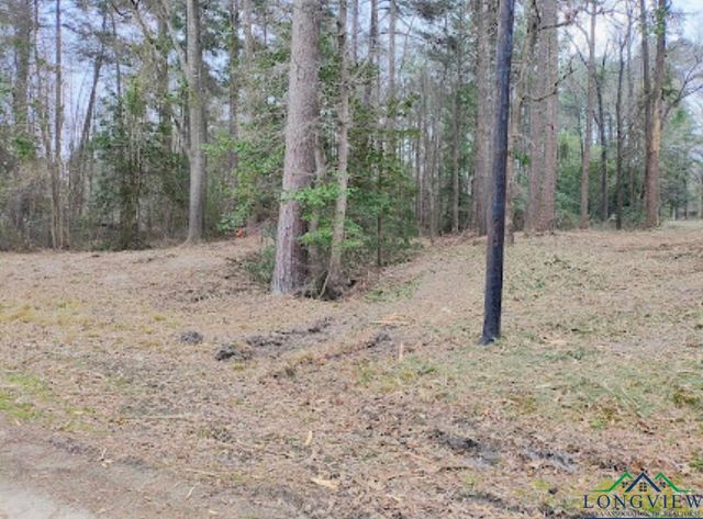 Pine Tree Rd, Harleton, TX 75651