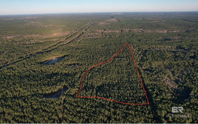 Timber Company Rd #6, Robertsdale, AL 36567